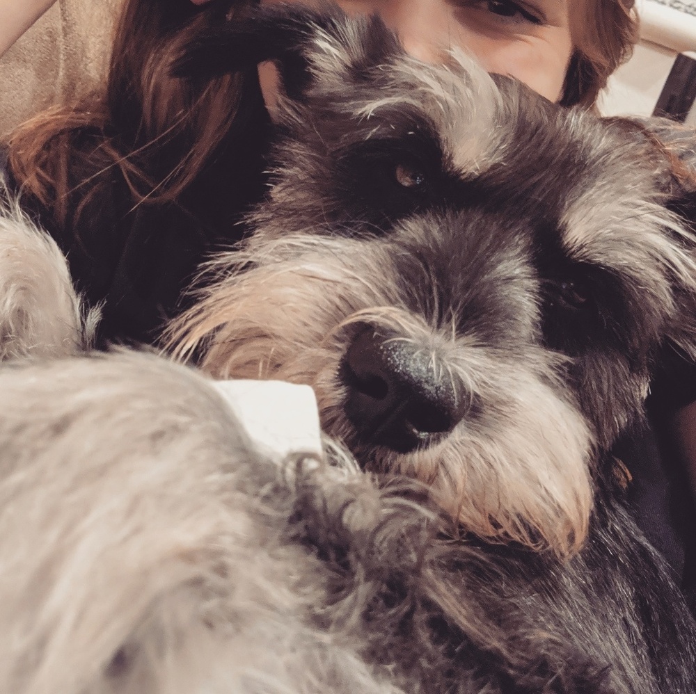 Meet your Posher, Rachel